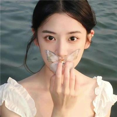 白夜侠